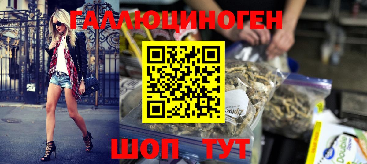 как найти наркотики  Вход с VPN  Тосно  Псилоцибиновые грибы Psilocybine cubensis 